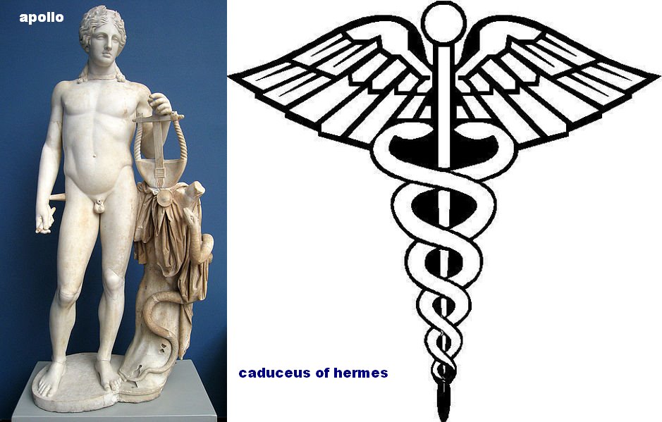 [apollo+hermes+compare.jpg]