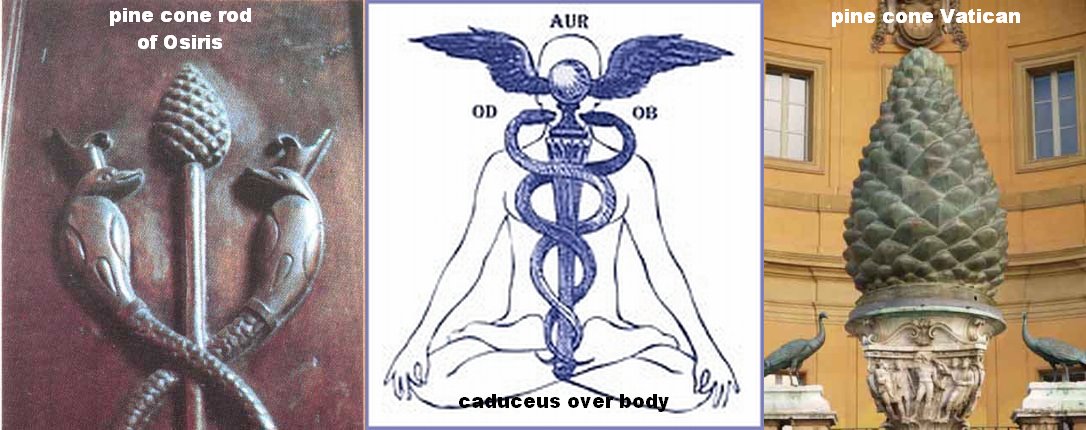 [pine+cone+caduceus.jpg]